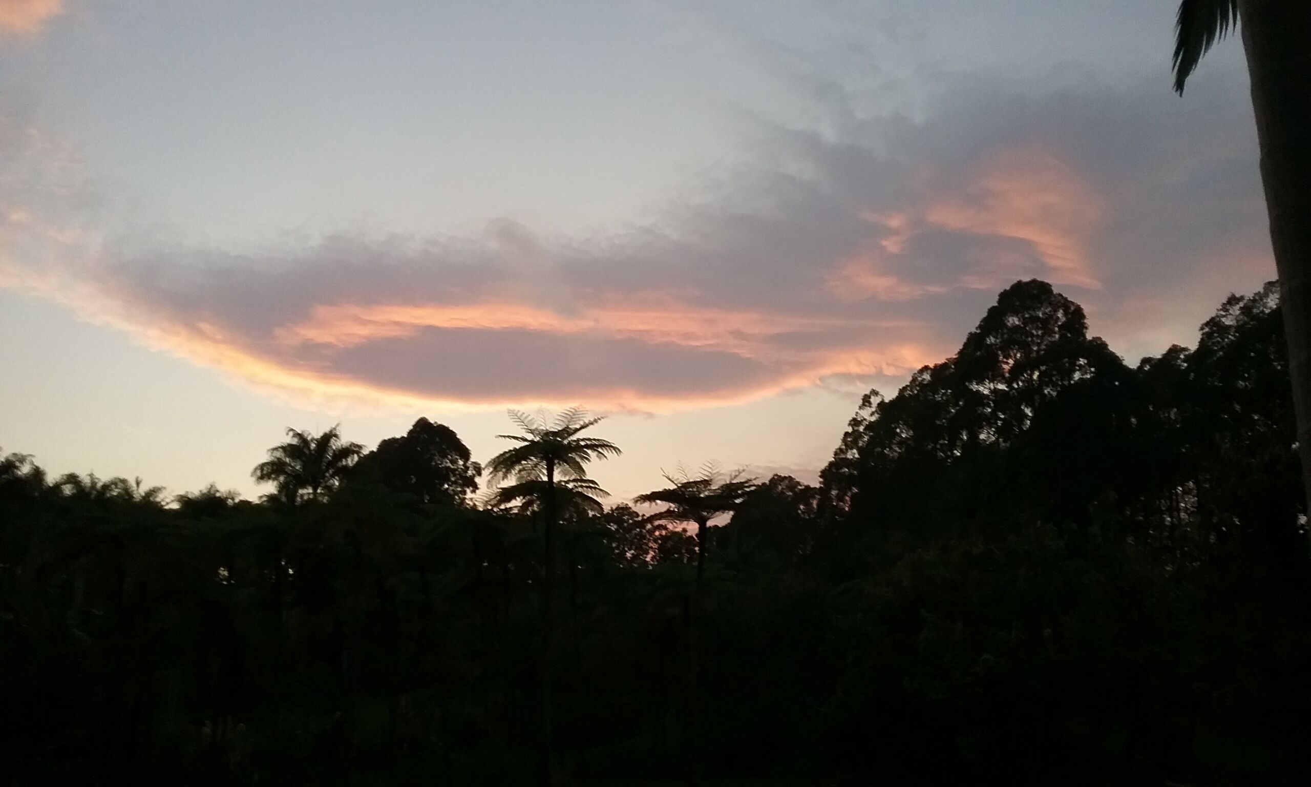Un atardecer con nubes sobre un área boscosa.