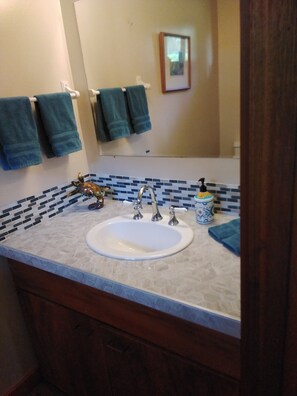 A bathroom with a sink, a mirror, and a decorative turtle figurine. - Spacious suite on twelve acres (HAKALAU)