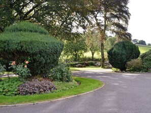 Property grounds - Jose's at the Grange (Loweswater, near Cockermouth)