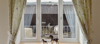 ミドルウィッチ近くのバイリーの1ベッドルーム宿泊施設