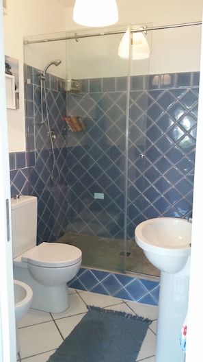 Douche, séchoir à cheveux, bidet, serviettes fournies