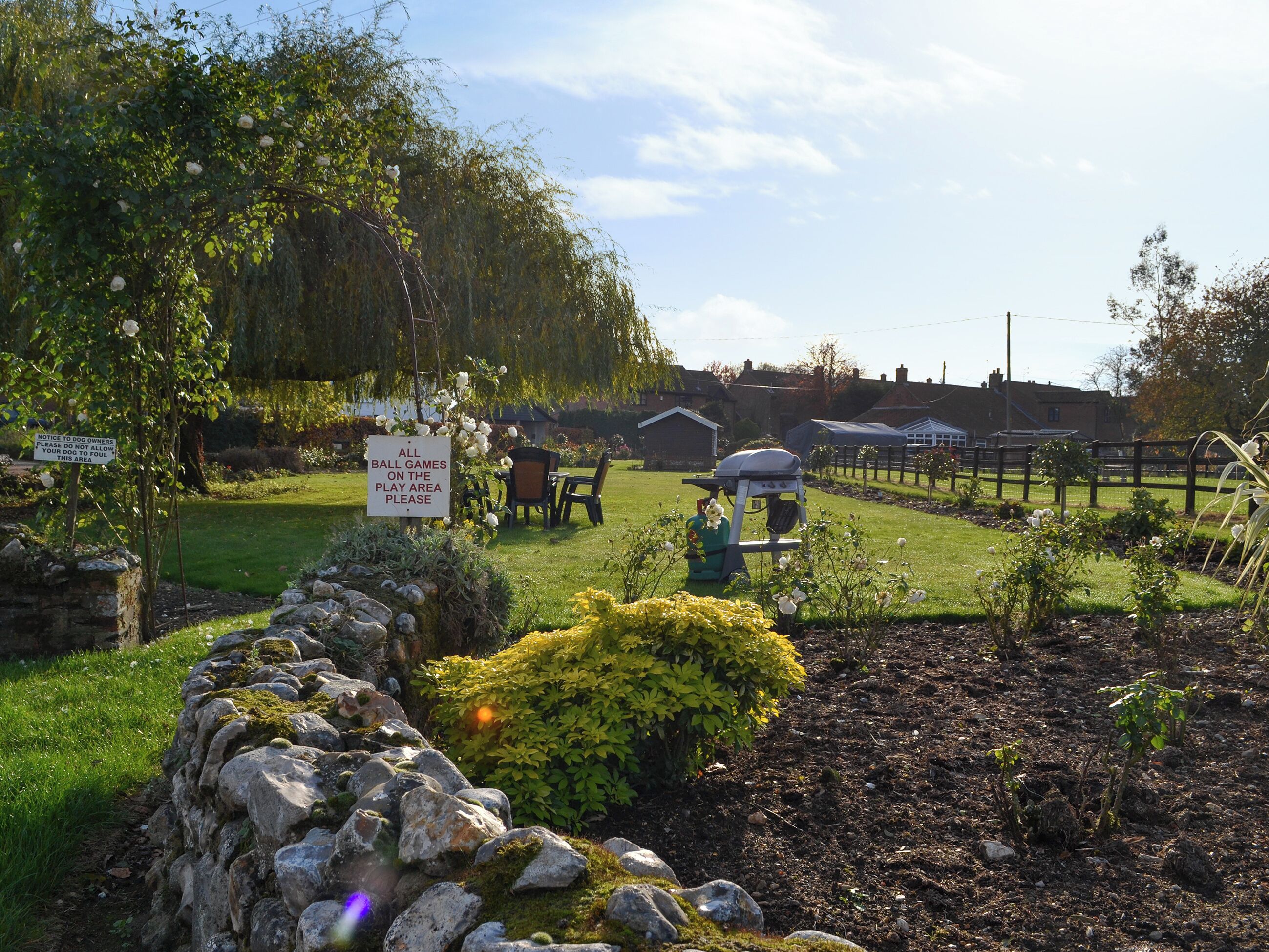 A garden with a stone wall, a grill, and a sign prohibiting dogs.