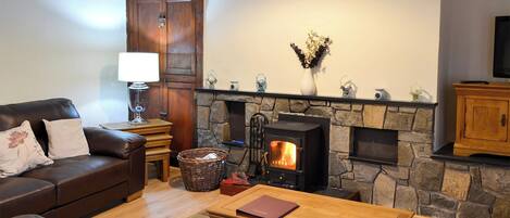 تلفزيون، مدفأة