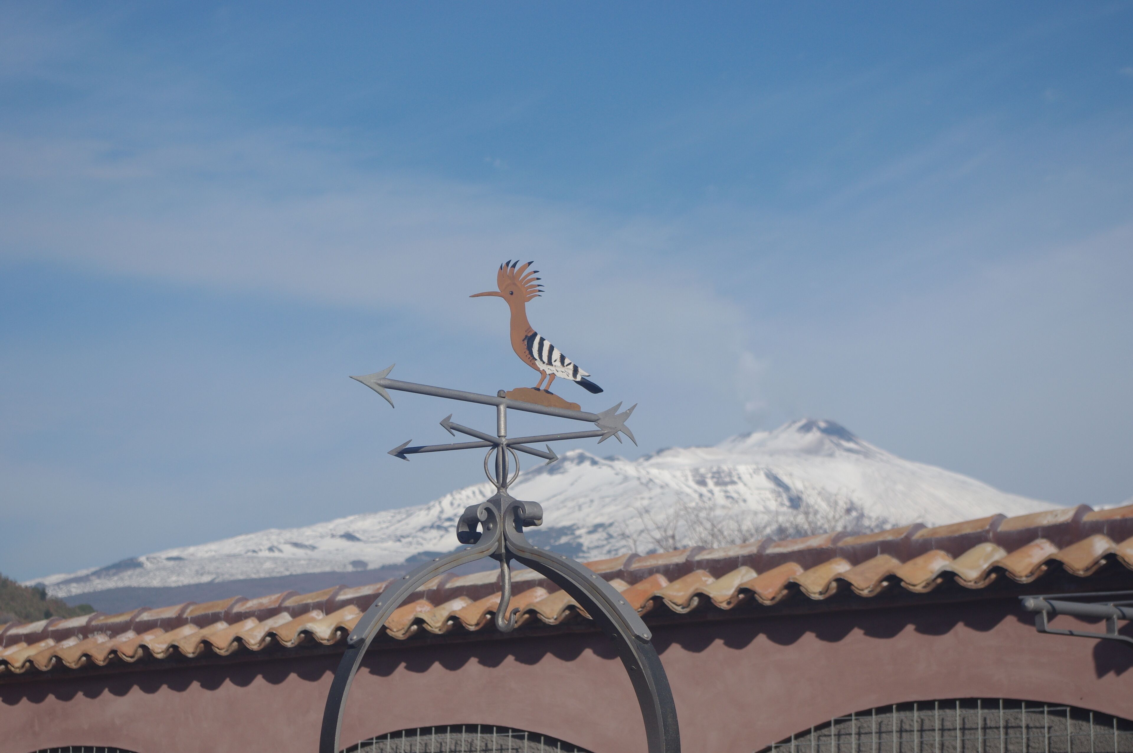 Una veletta con forma di uccello su un edificio con tetto in tegole e una montagna innevata sullo sfondo.