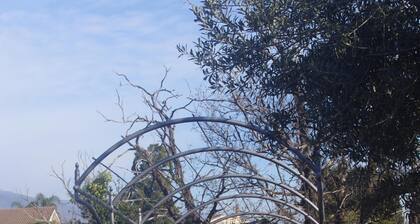 Ancien palmento entiÚrement rénové