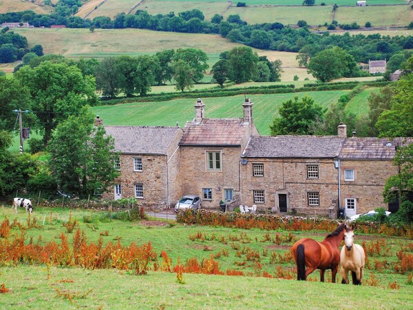A stone building with multiple windows and doors, surrounded by a grassy field with horses.
