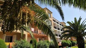 Un immeuble à plusieurs étages doté de balcons, entouré d’une végétation luxuriante et de palmiers.