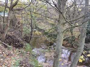 Uklassifisert bilde, 3 av 13, knapp