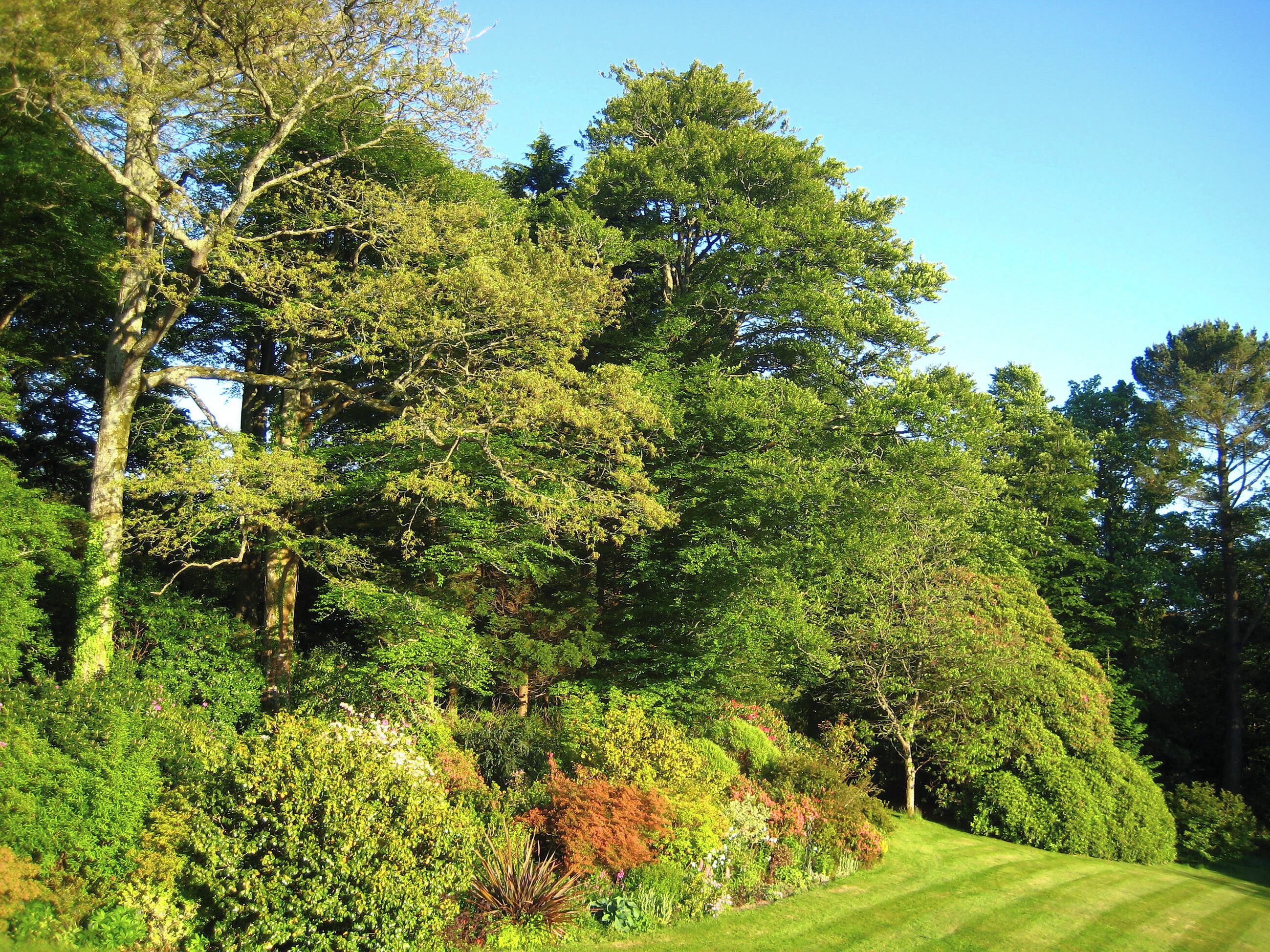 Un jardin luxuriant, avec une grande variété d’arbres et d’arbustes, une pelouse bien entretenue et un ciel d’un bleu éclatant.