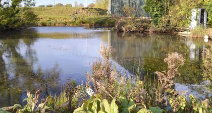 Moor Farm Cottage - UKC3734