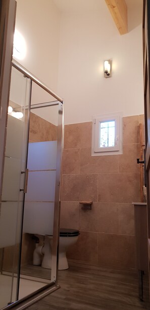 Shower, hair dryer