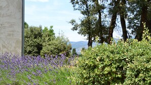 A garden with lavender and green shrubs, a concrete structure, and trees in the background. - Rental cottage in Bédoin at the foot of Mont Ventoux (Bédoin)