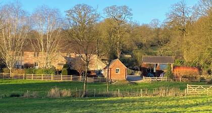 Honeysuckle Cottage - UK4177