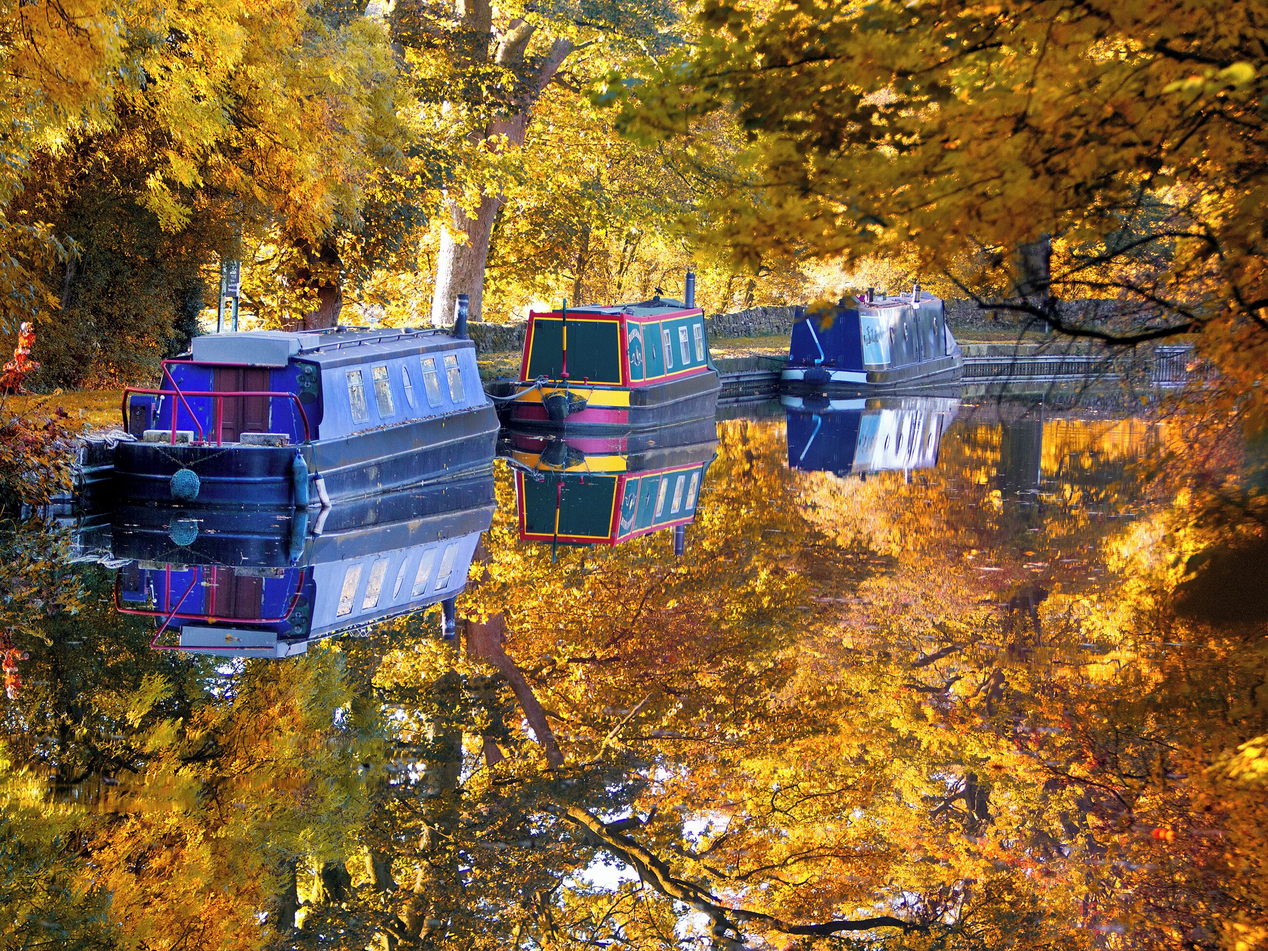 Une rivière paisible où sont amarrés des bateaux, bordée d’arbres aux couleurs automnales.
