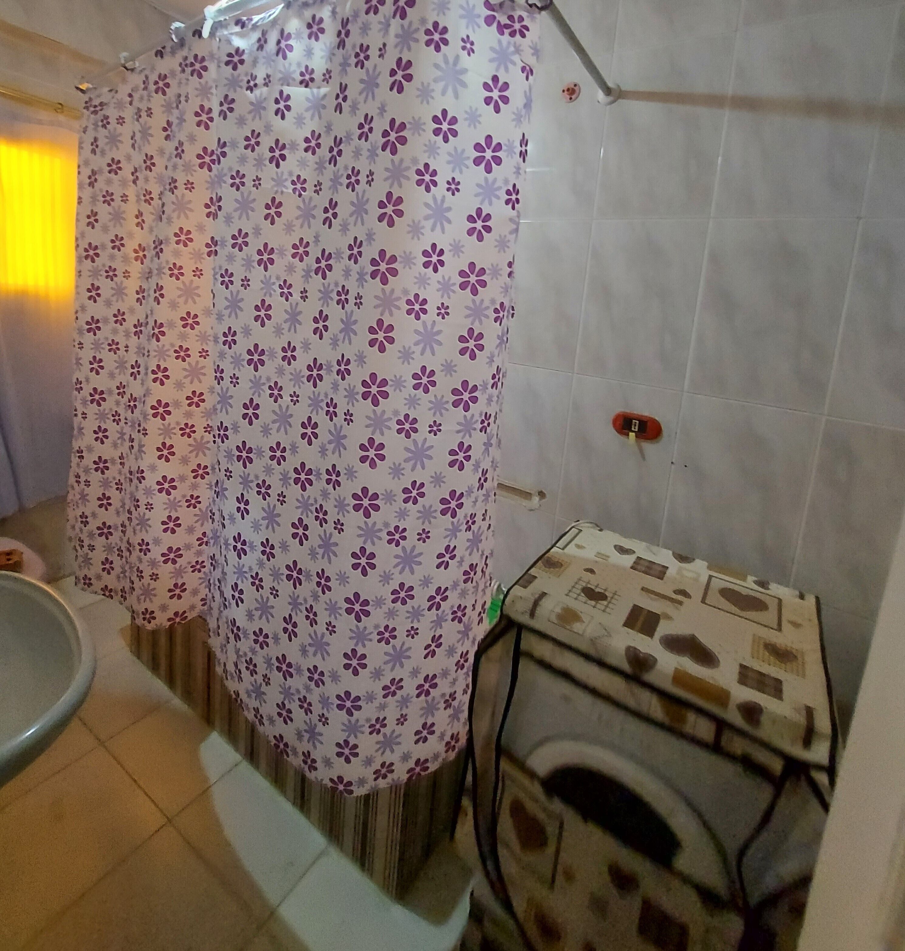 A bathroom with a shower curtain, a toilet, and a small sink.