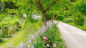 Un jardin avec un chemin de gravier, différentes plantes à fleurs et un arbre qui offre de l’ombre.