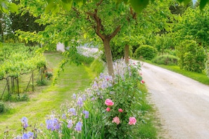 Parco della struttura