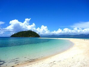 Sun-loungers - Parrot Resort Deluxe Room 1 - Moalboal (Moalboal)