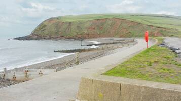 A coastal road with a sea view, a red stop sign, and a grassy embankment.