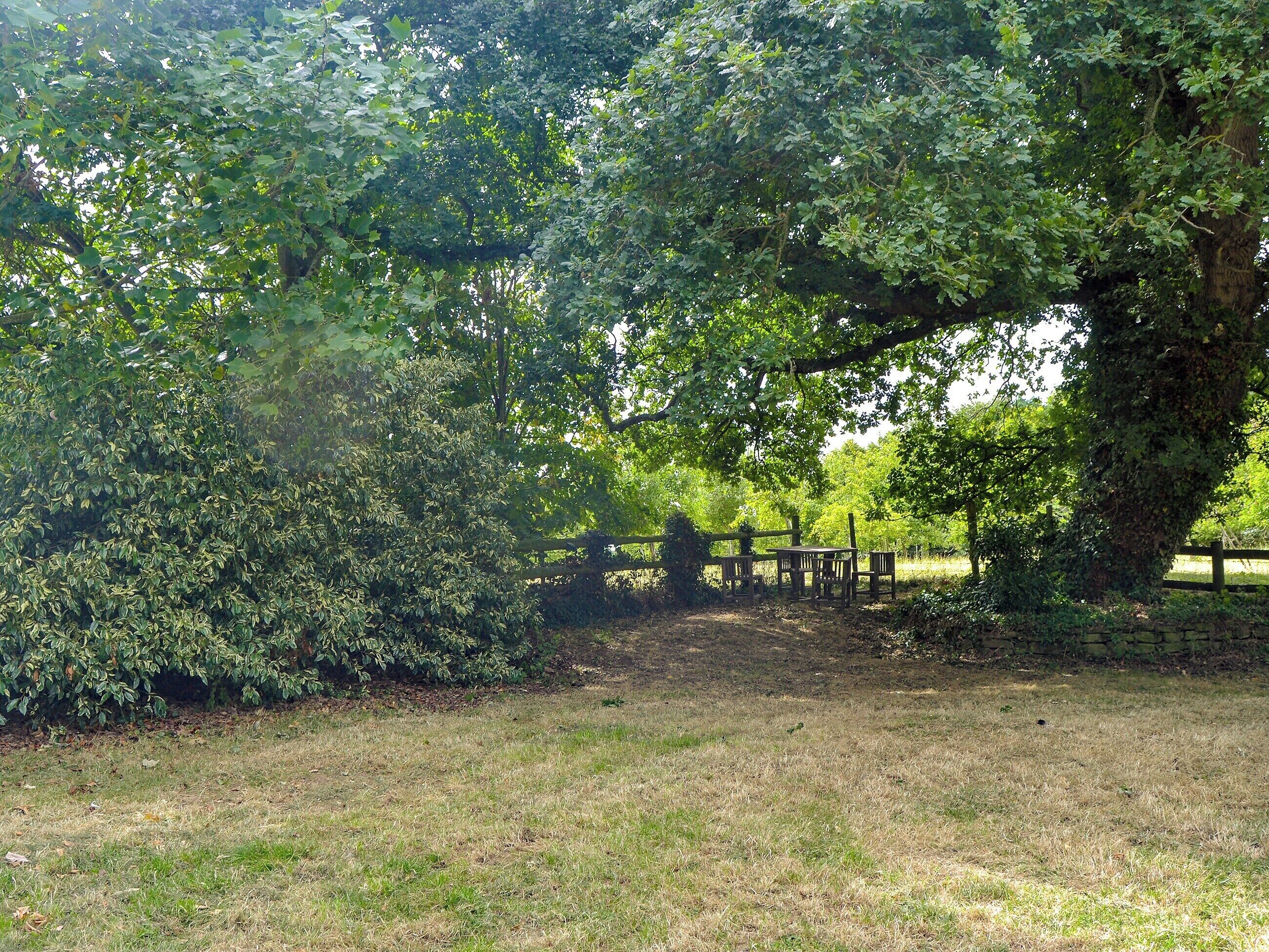 A grassy area with a wooden fence and a picnic table.