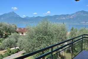 Vista desde la habitación