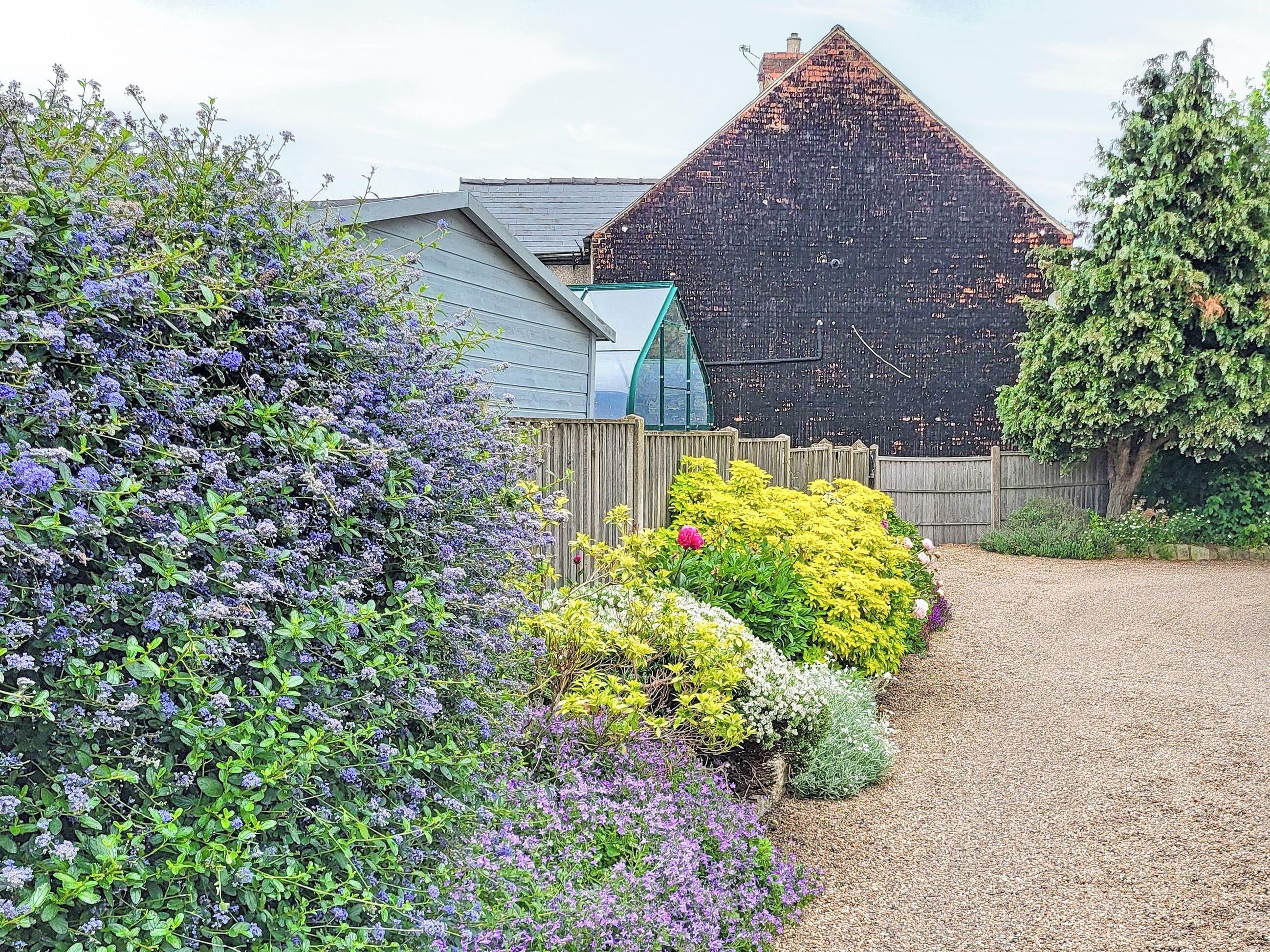 A garden with various plants and a wooden fence.