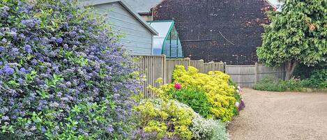 A garden with various plants and a wooden fence.