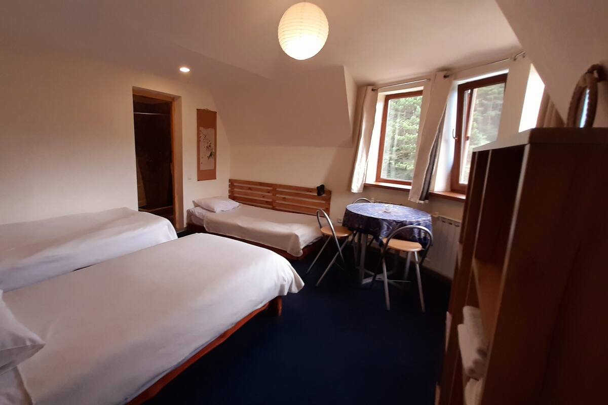 Desk, soundproofing, iron/ironing board, rollaway beds