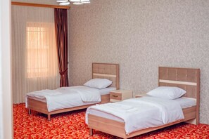 Basic Twin Room | Minibar, iron/ironing board, rollaway beds, free WiFi - Soffia Hotel (Baku)