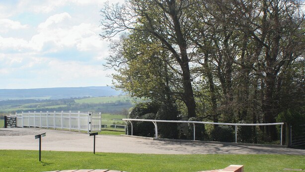 Une table de pique-nique et un banc en briques dans un parc, avec une clôture blanche et des arbres.