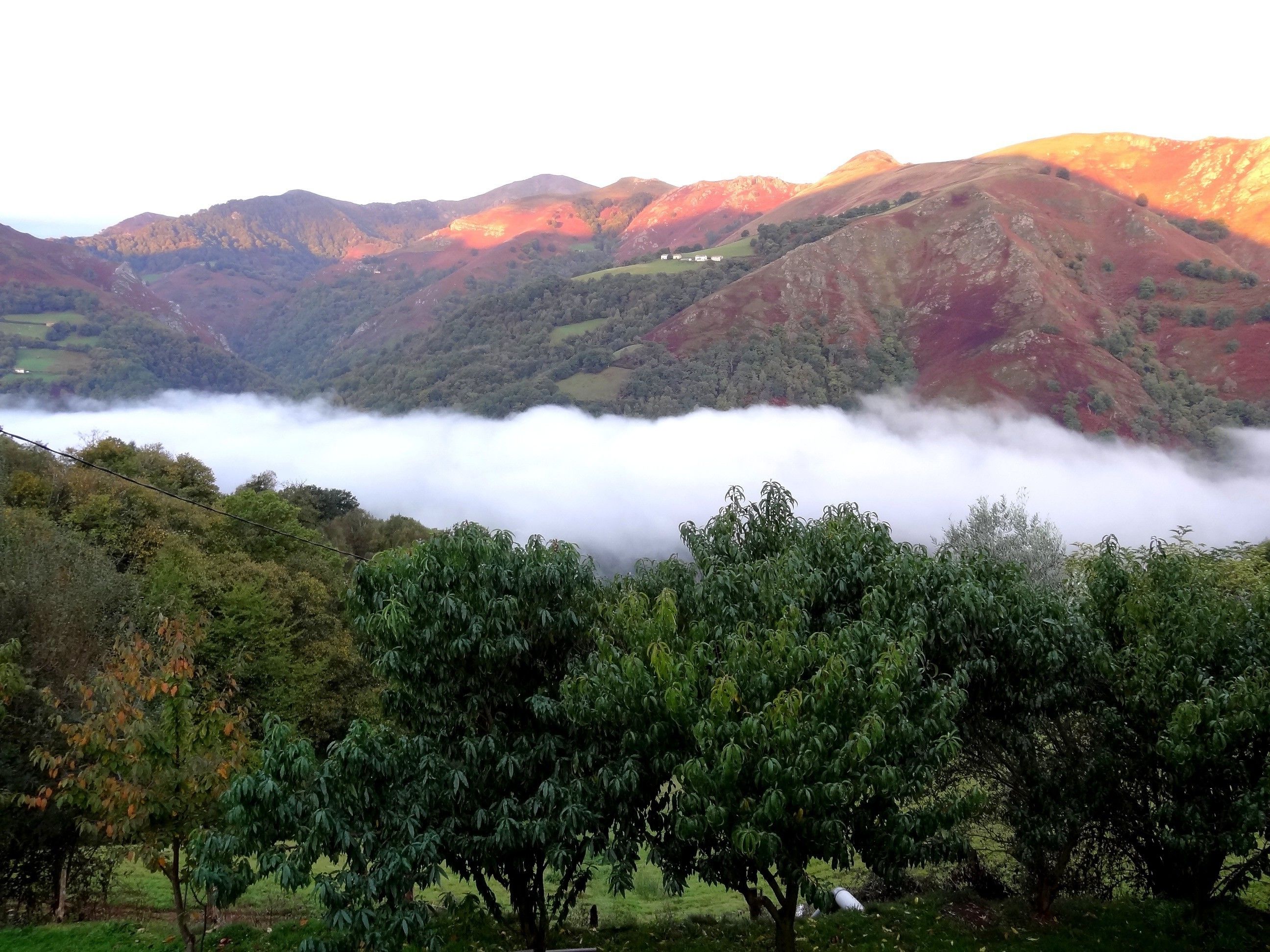 A mountainous landscape with a valley and a tree-covered foreground.