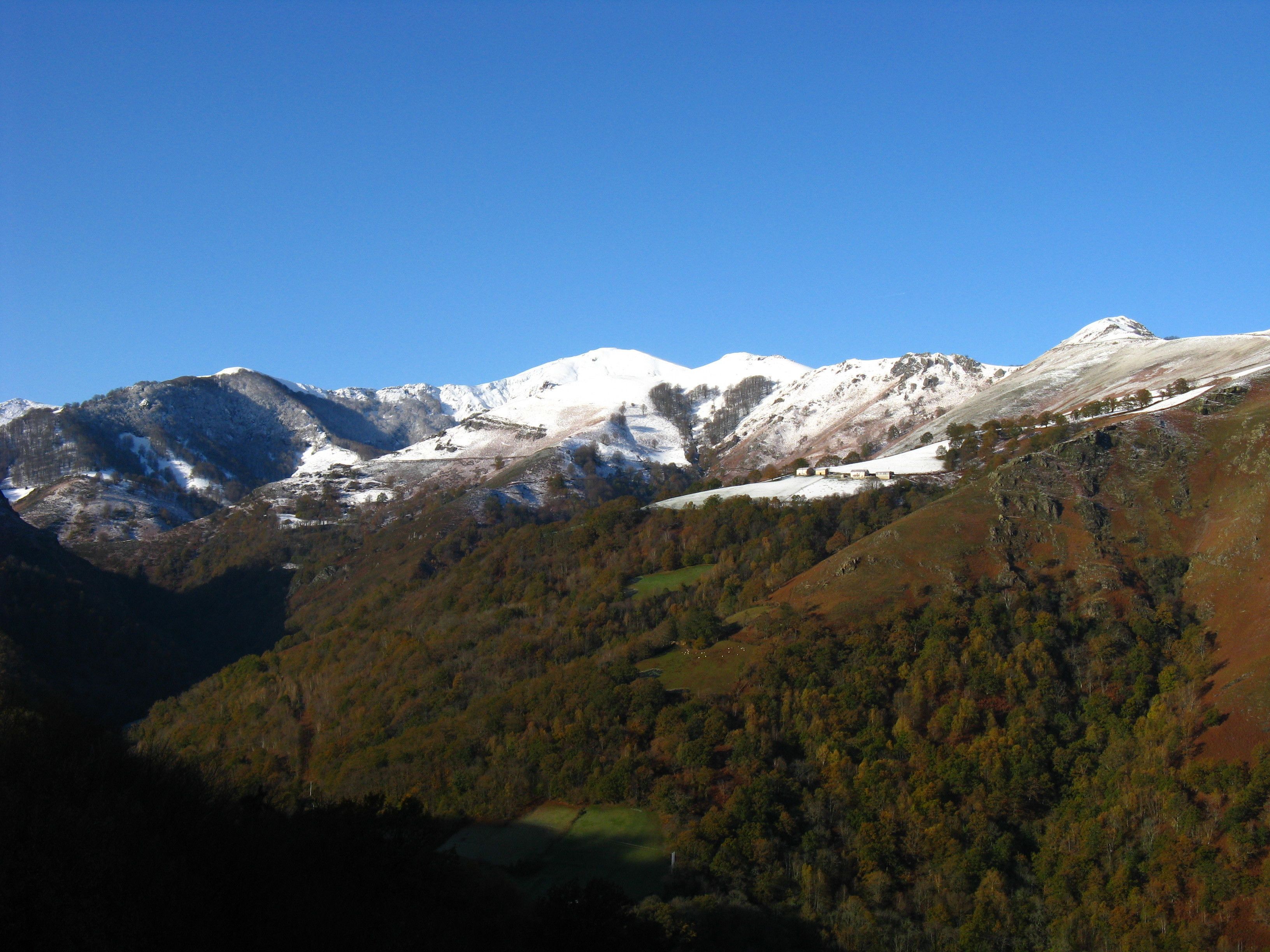 Een bergachtig landschap met besneeuwde toppen en uitgestrekte beboste gebieden.
