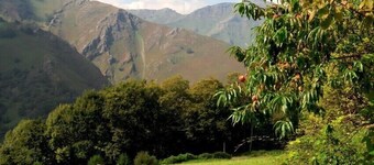 샹브르 도트 이디아테코보르다