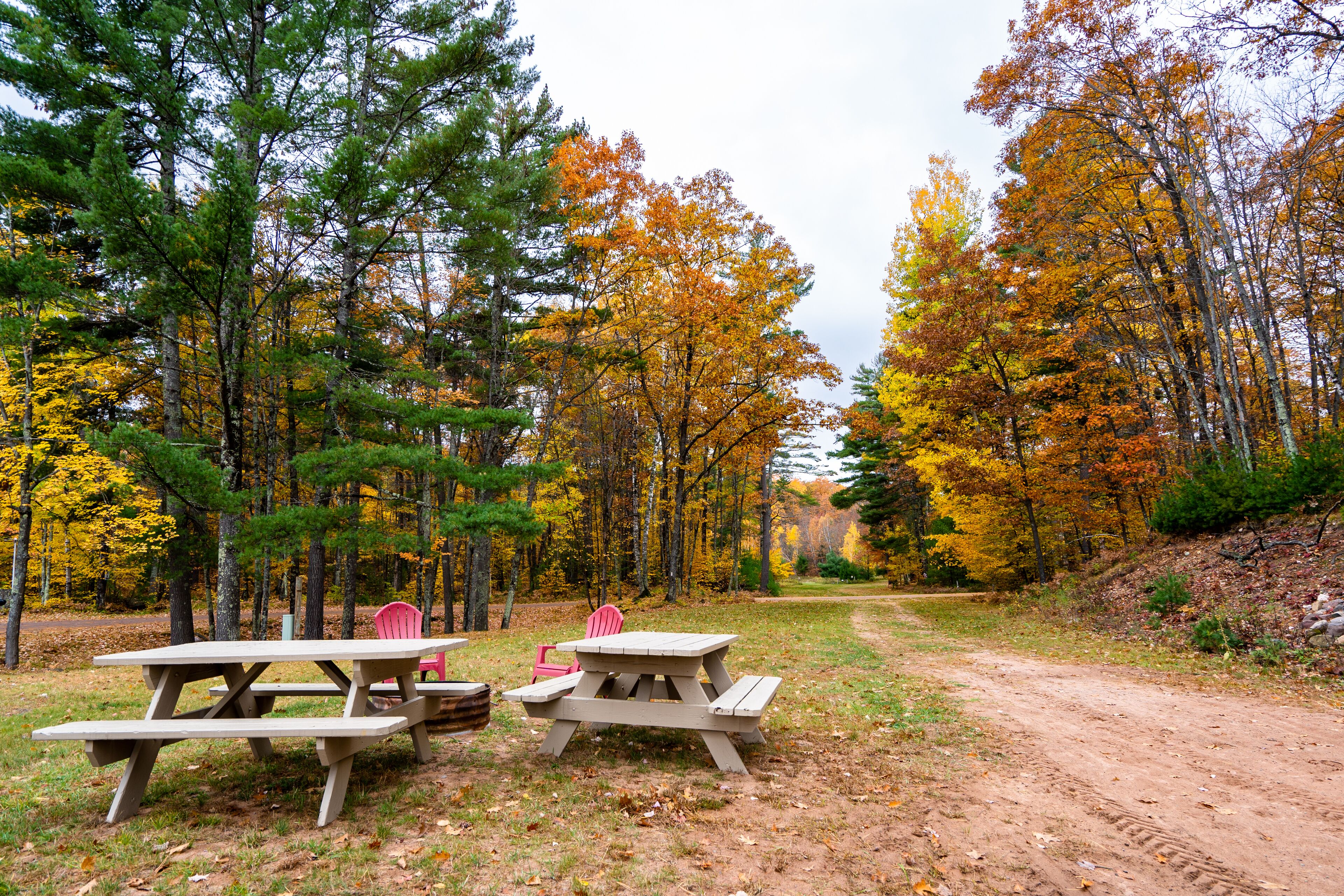 BBQ/picnic area