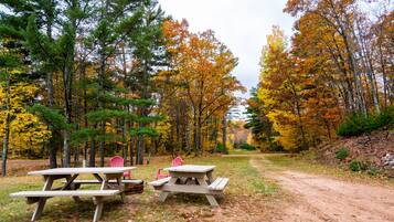 BBQ/picnic area