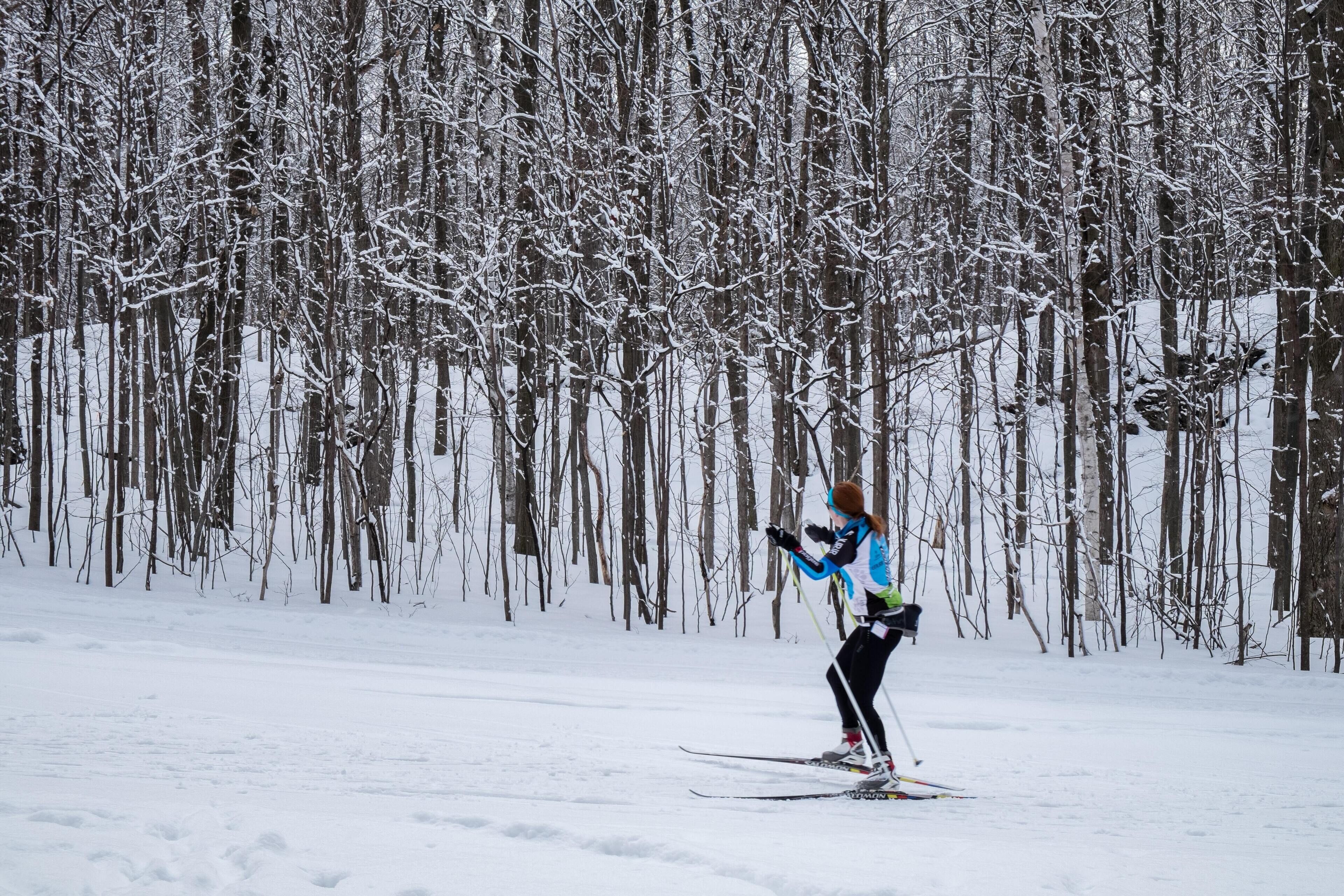 Eine Person fährt Ski durch einen verschneiten Wald.
