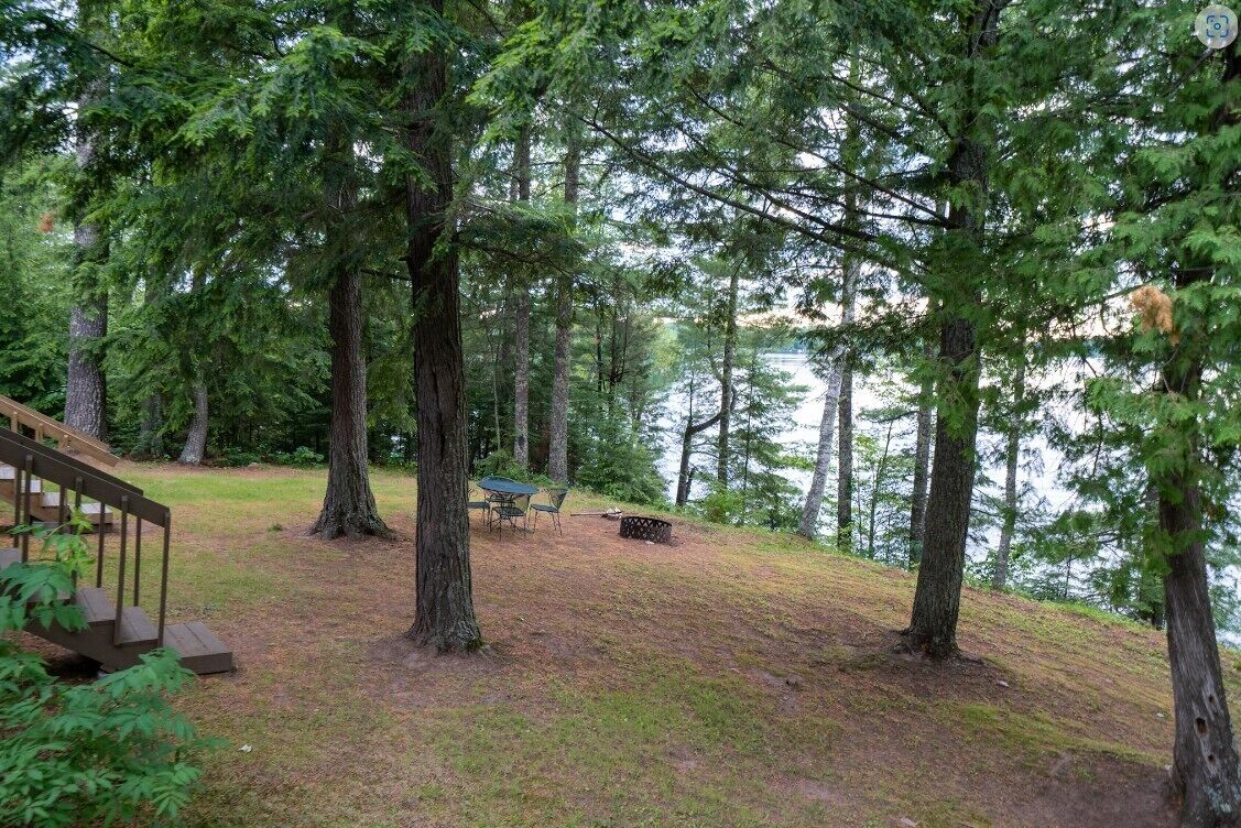 Un'area boscosa con tavolo e sedie da picnic, un braciere e un molo di legno.