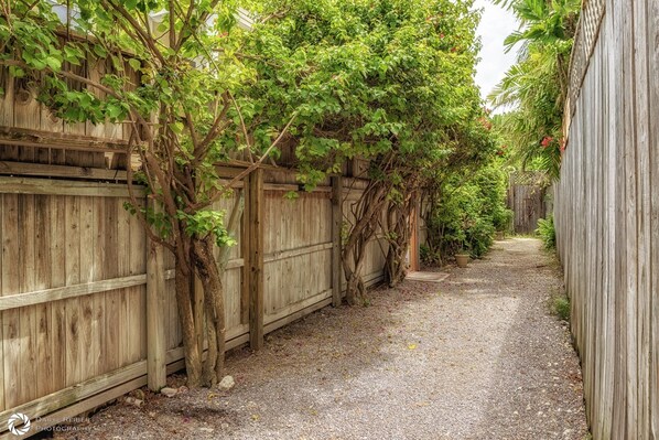 A narrow gravel path flanked by wooden fences with climbing plants. - **SWEET AMERICANA** 8BR/8BA Compound & 2 Pools + Last Key White Glove Service... (Key West)