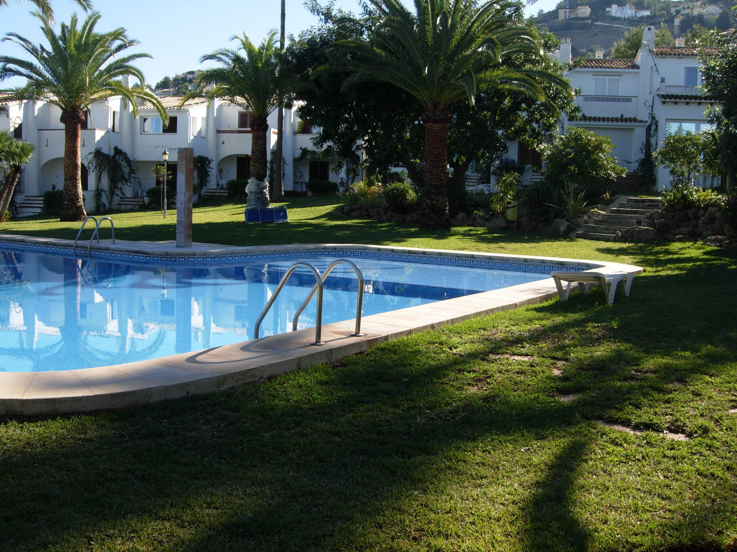 A swimming pool with a clear blue water, surrounded by grass and palm trees.