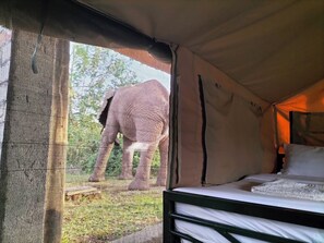 10 bedrooms, free WiFi, bed sheets