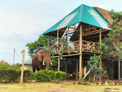 Budget Game Lodge dans le parc national Queen Elizabeth, en Ouganda