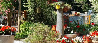 Renovated and equipped apartment in Cervia-Milano Marittima