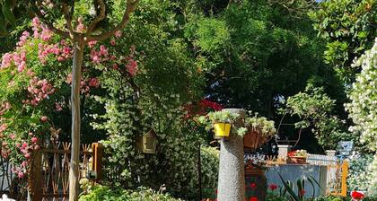 Mukava ja varustettu huoneisto Cervia-Milano Marittimassa