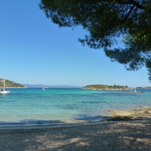 Beach - Top  Apartment- Ellen in front of the Beach (Greek Style) (Sithonia)