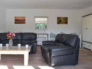 Fireplace - 3 bedroom accommodation in Halwill, near Holsworthy (Halwill, near Holsworthy)