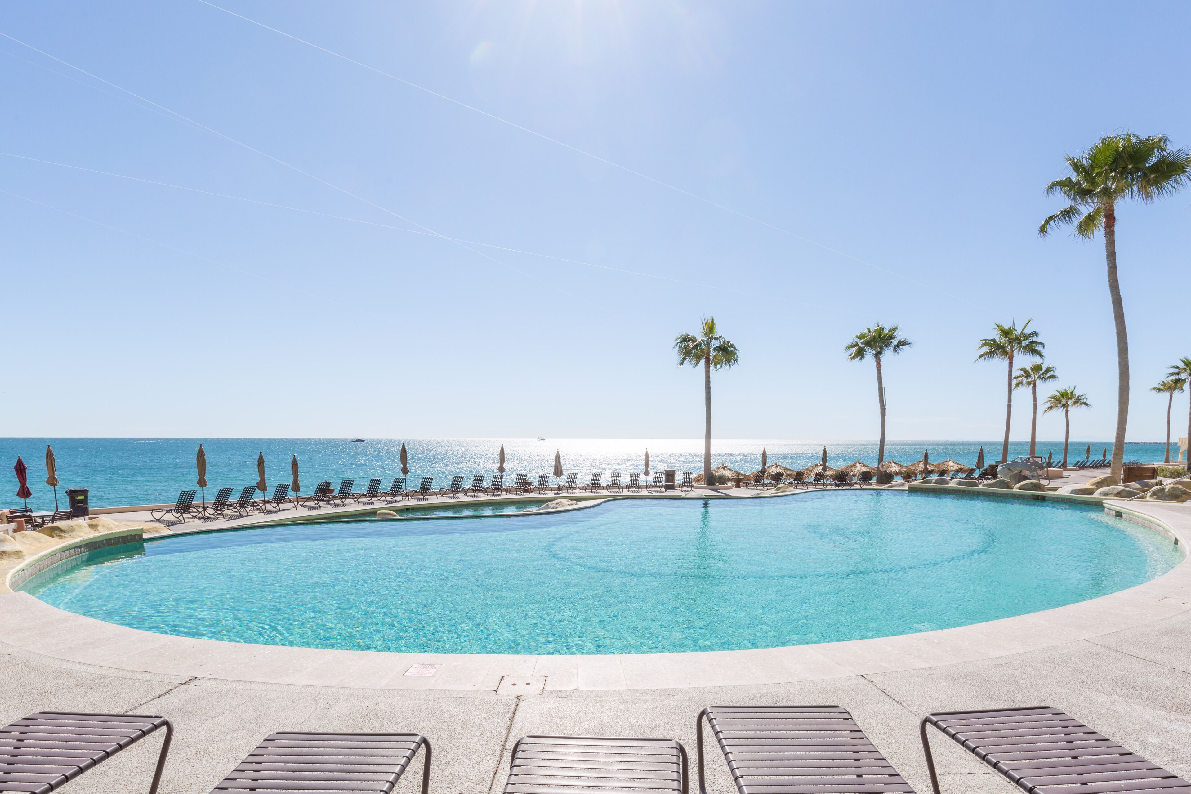 Un espace aménagé au bord de la piscine, avec des chaises longues, des palmiers et une vue sur l’océan.