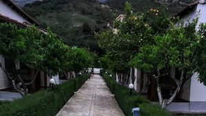 A stone pathway leading to a building with a traditional architectural style, surrounded by neatly trimmed hedges and trees. - Villaggio shehu (Orikum)
