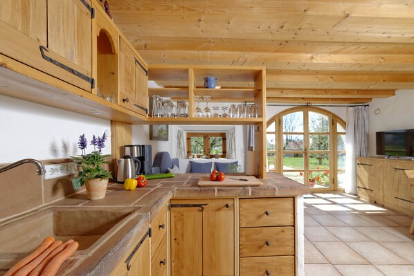 Kühlschrank, Mikrowelle, Herdplatte, Geschirrspüler