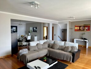 TV, fireplace, video games, DVD player