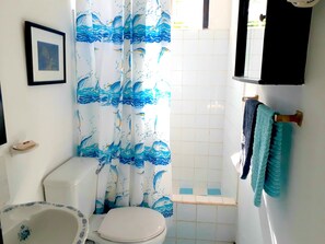 Shower, hair dryer, towels, soap